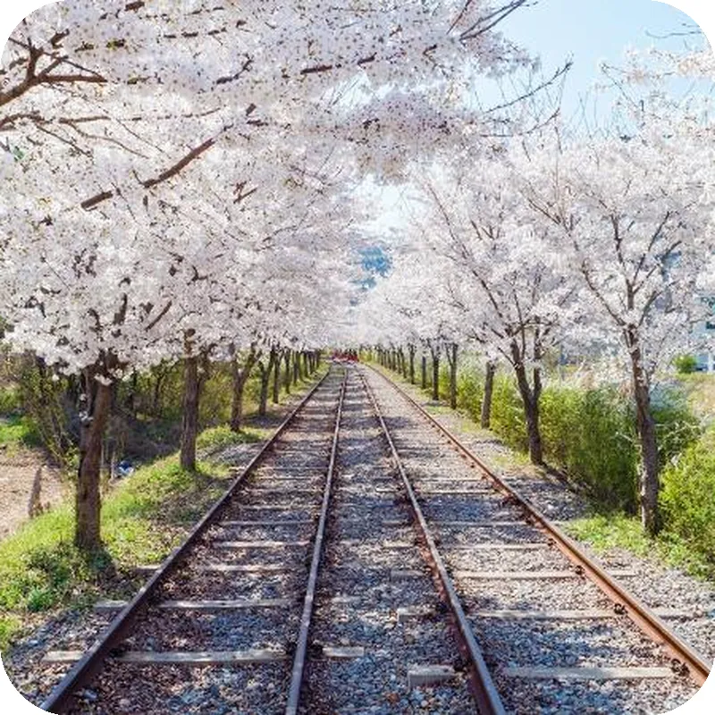 Namiseom 2020 Spa Poolvilla hotel view