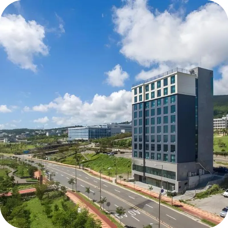 Jeju pureun hotel hotel view