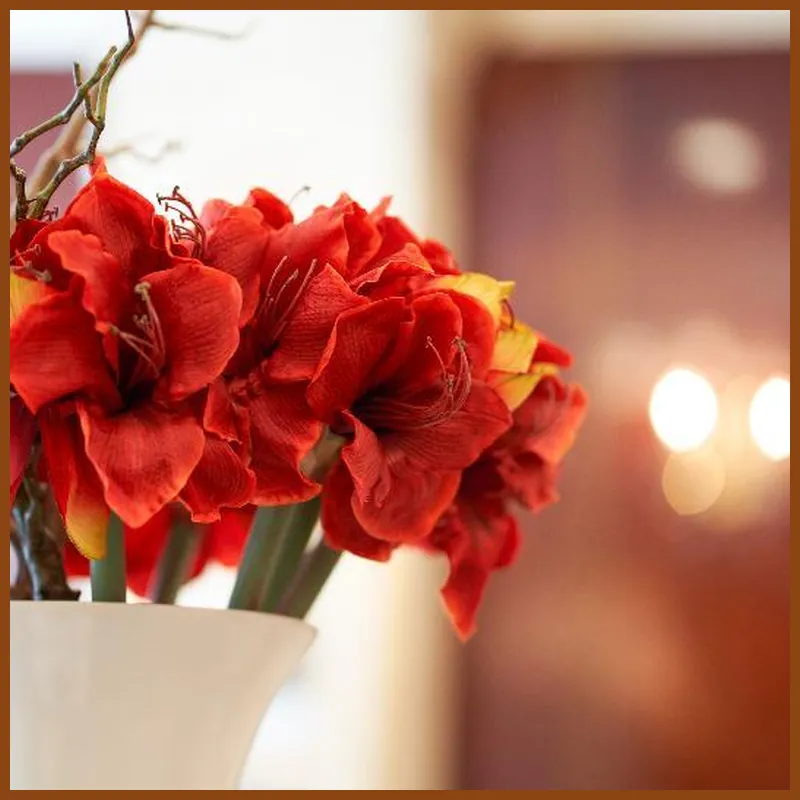 GoldOne Hotel & Suites hotel view