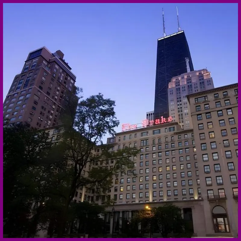 The Drake hotel view