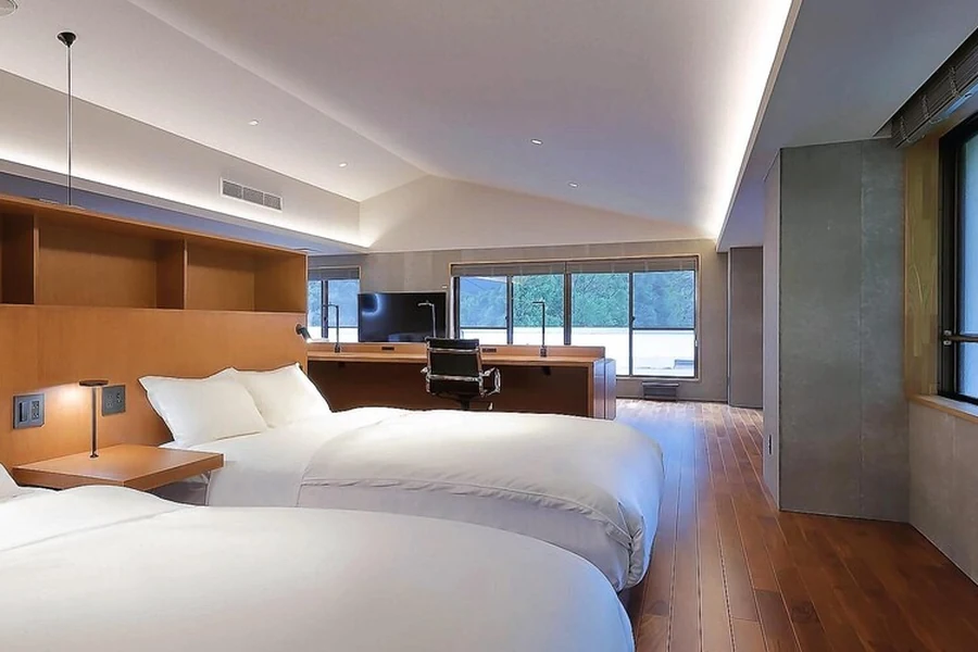 SHIN 湯治 HOTEL LULUDの客室内